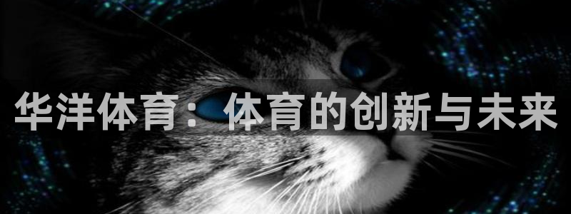华洋体育：体育的创新与未来