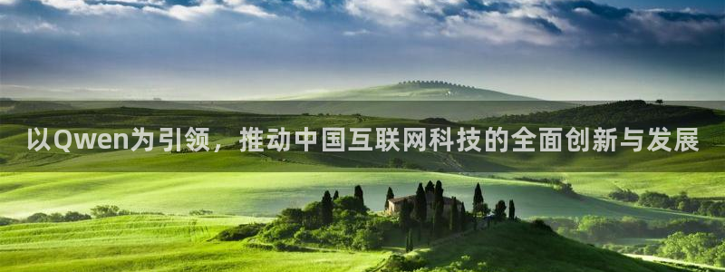 以Qwen为引领，推动中国互联网科技的全面创新与发展